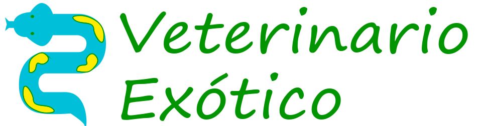 veterinario exótico_logo